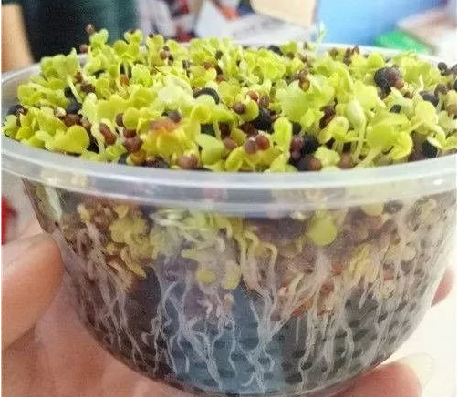 学会从4个方面来辨别生物有机肥(图1) 生物有机肥