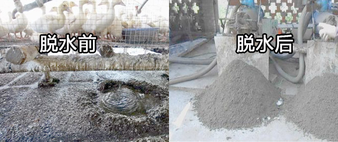 鸭粪能处理成有机肥吗?都需要什么设备整套下来需要多少钱?(图1) 鸭粪脱水前和脱水后
